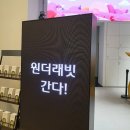 운모농장 | 스타필드고양 매직플로우&lt;원더래빗&gt;일요일방문후기 체험전시 할인티켓