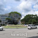 다복솔디자인 이미지