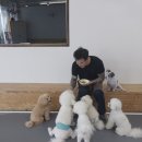 아카데미유치원 이미지
