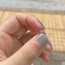 올바름 반려견 뷰티샵 | [서울 장안동] 크림뷰티1151-장안동 네일