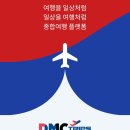 디엠씨트립스