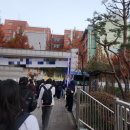 사과시험장 앞 | [2026 수능후기] 초록 물결이 톡톡 튀는 젊음처럼