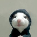 오타쿠 이미지