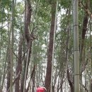 백월산농장 이미지