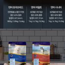 캐롯독 이미지