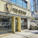 나은동물병원 | [해온동물병원] 과잉진료없는 부산 남구 용호동 동물병원추천 후기뿅