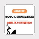 니코글로벌 이미지
