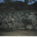 건강나라 이미지