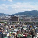 DK동물병원 이미지