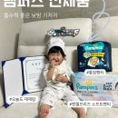 P&G 소프트 | 🍼 팸퍼스 신제품｜엔젤브리즈 소프트팬티·통잠팬티 낮밤 기저귀 사용 후기