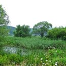 강변에서 이미지