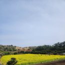산방산랜드 이미지