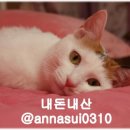 세븐브릭스호텔 이미지