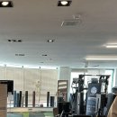 아나토미 스트랭스 이미지