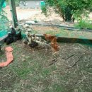 칠읍산장모텔 이미지