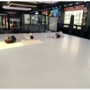 팀헌터 | 장지동주짓수 팀헌터 체육관, 초보도 쉽게 배우는 주짓수 후기