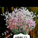 바음