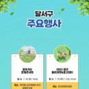 동구청 공연장 | [일상] 대구 동구 여름축제 두근두근썸머동구을 다녀왔습니다.