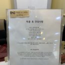 킴스펫살롱 이미지