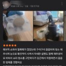 비치움클린오아시스 이미지