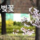 충훈2교 옆 이미지