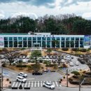 소백산 한돈 이미지