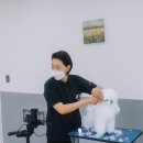 오드리 펫 이미지