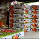 화순 하니움문화스포츠센터 회랑 이미지