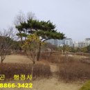 허자 행정사사무소 이미지