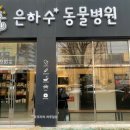 은하수 동물병원 이미지