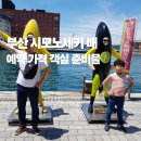 행복이열리는약국 | 부산 시모노세키 배편 예약 가격 객실 업그레이드 준비물 총정리