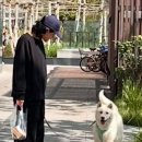 산책 이미지