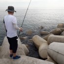 울진 기성어촌체험마을 이미지