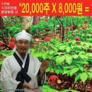 청맥농장 이미지