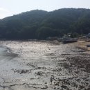 바다애펜션민박 이미지