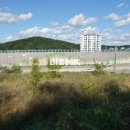 딸기공인중개사사무소 이미지