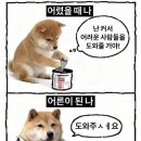 서울지방경찰철 지능범죄수사대 | 12월 26일 간추린 뉴스