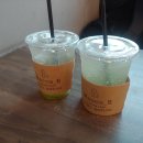 마오네애견카페 이미지