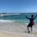 바다비치 이미지