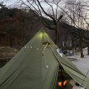 [포천 캠핑장] 애견동반 가능한 딥포레스트 캠핑장_마루2 후기