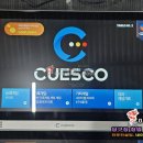 큐스코 이미지