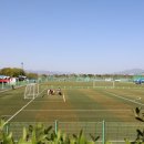 하단동1233 이미지