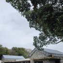 제주도 놀거리 가볼만한곳 - 산양큰엉곶 산책로 (말달구지체험장)