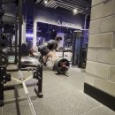 데드리프트 160kg 6x2 정지 데드리프트 140kg 2x5 정지 앞스캇 90kgx5 미디엄그립핏업벤치프레스 100kg 5x2 이미지