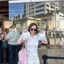 금잔디 - 관악구 | 금잔디