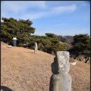 홍한 묘역 이미지
