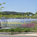 수란농장 | 5월 고창여행 팔복동 이팝나무 철길부터 학원농장 청보리밭까지