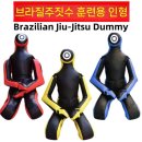 격투기 레슬링 연습더미 후기