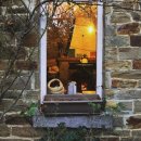 머물농장 이미지