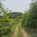 CU동면점 | 2025 전국 교사 식물탐사 올림피아드 참가 후기 🌿
